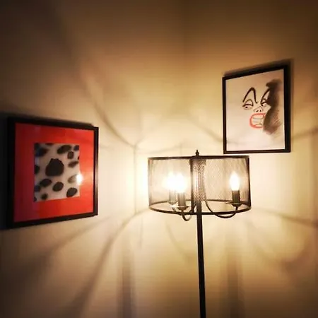 Cdv Stylish Flat *